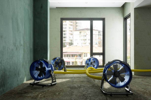 Best Water damage contractors near me  in Junction City, OR