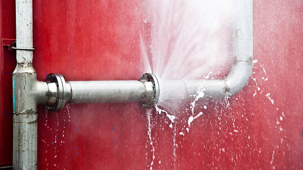 Best Flooded house restoration  in Junction City, OR